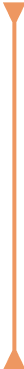 Vertical Line